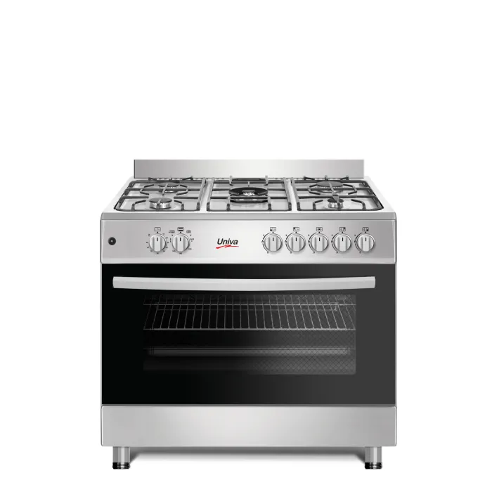 Gas stove